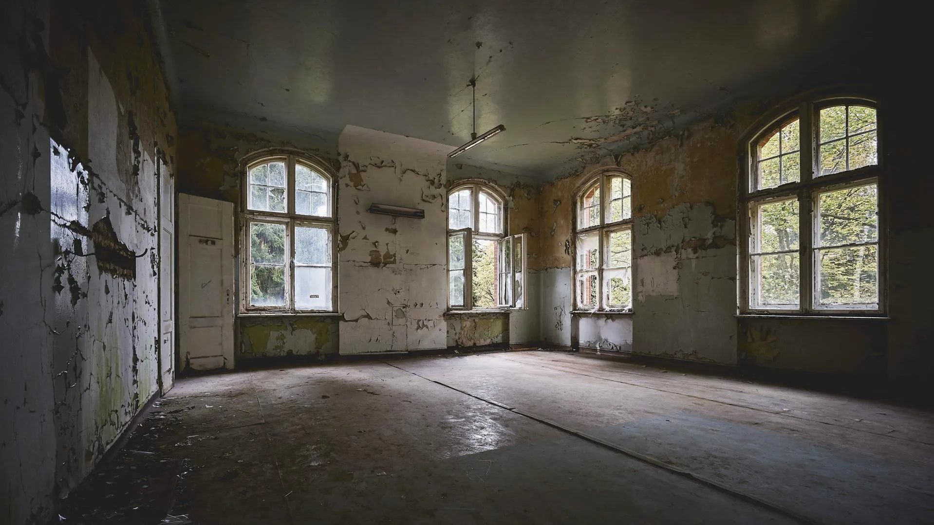 Фото: https://ru.freepik.com