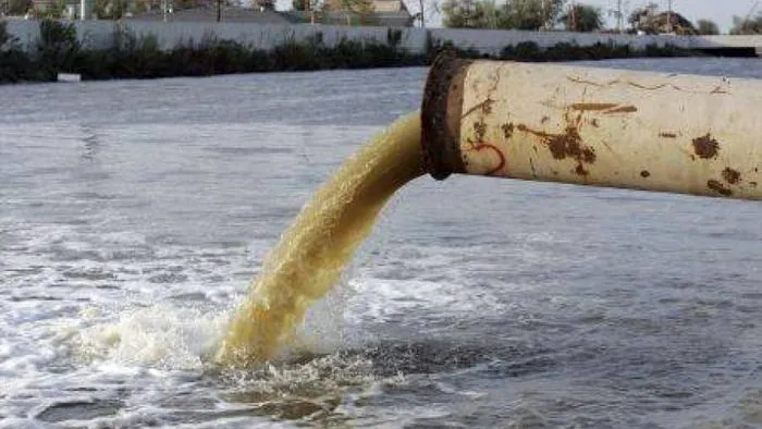 Коммерсанты в Варавино сливали отходы предприятий в местный водоем