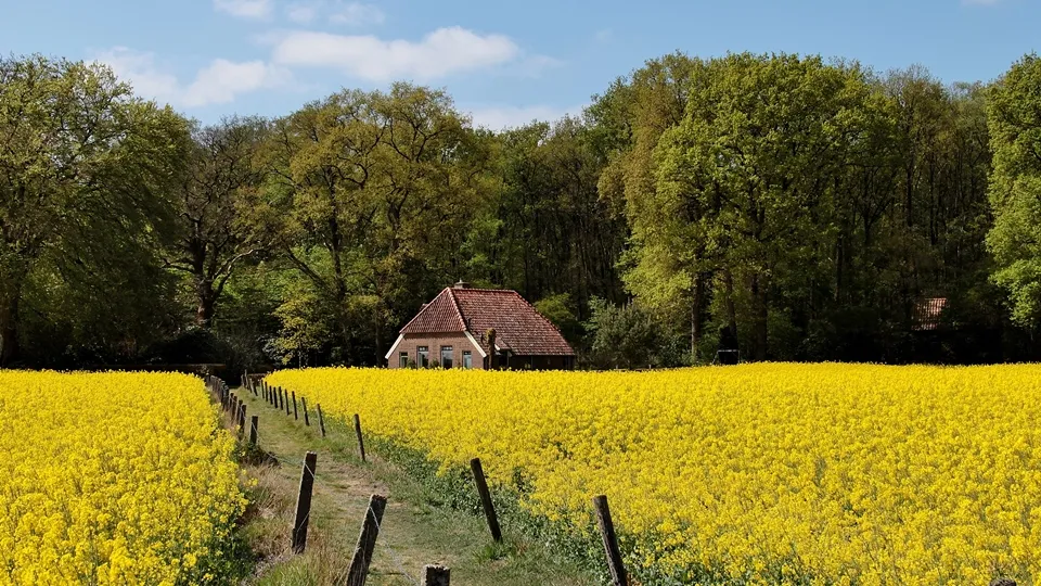 Фото: freepik.com