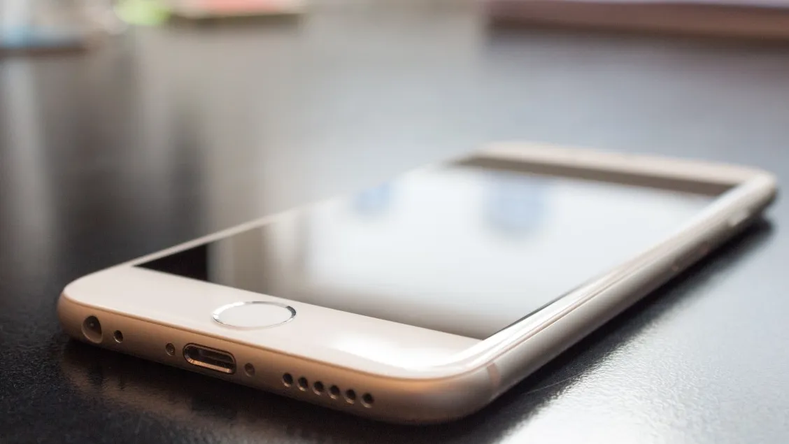 Фото: pxhere.com