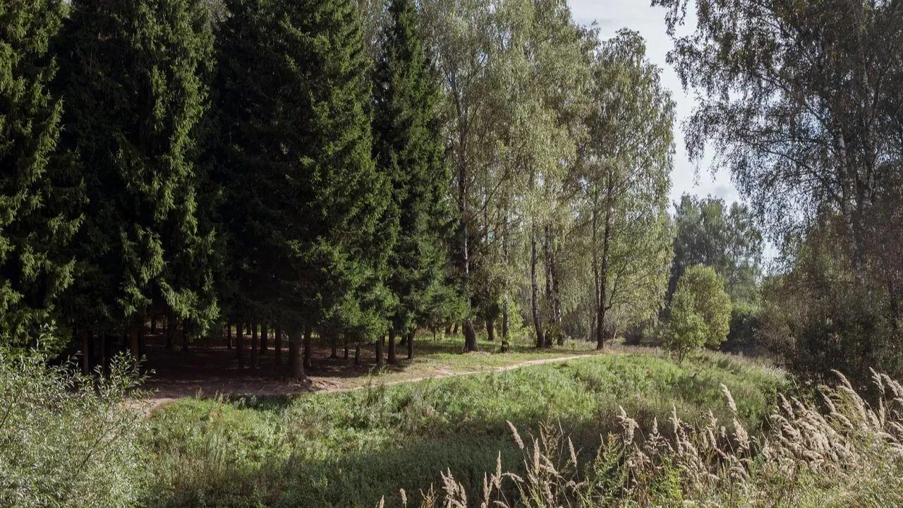 REGIONS/Наталья Надточая