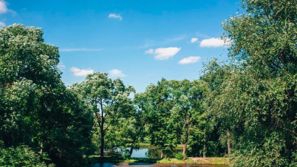 Фото: Администрация г.о. Чехов