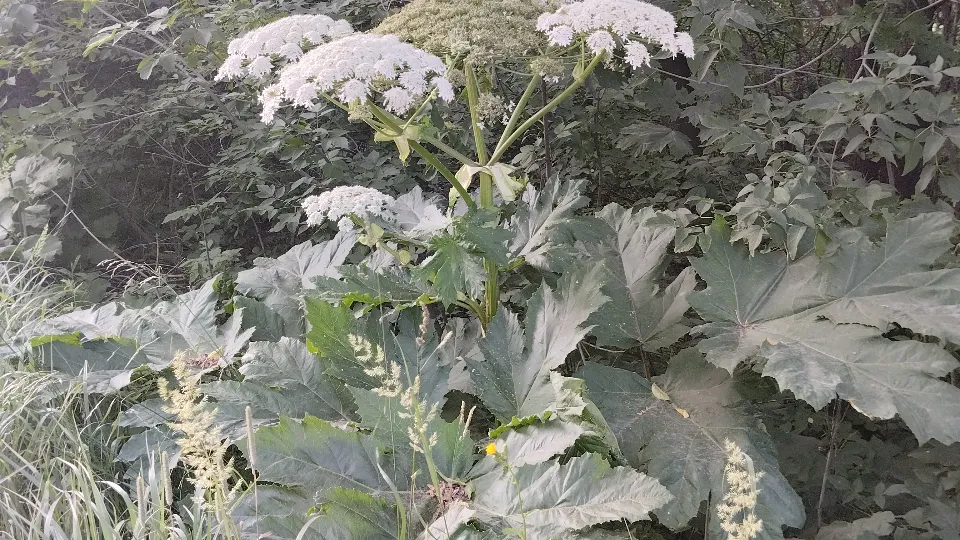 Фото: МедиаБанк Подмосковья/Ксения Пашуто