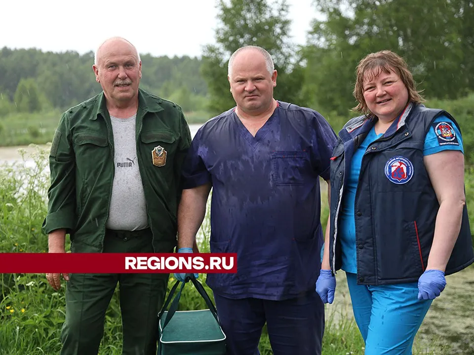 Фото: REGIONS/Ольга Пятикрестовская