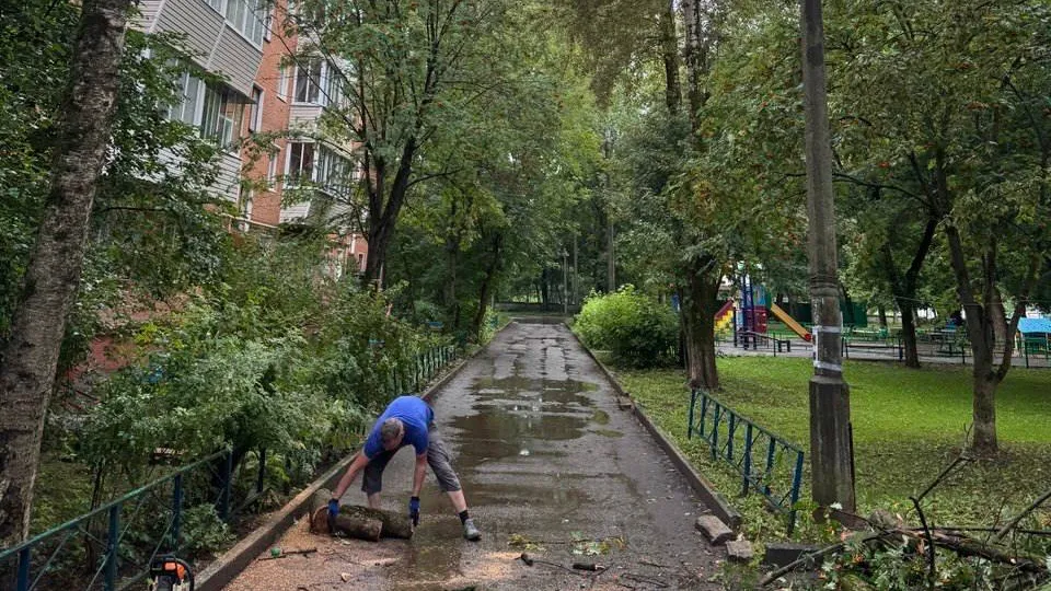 Фото: пресс-служба администрации г. о. Подольск