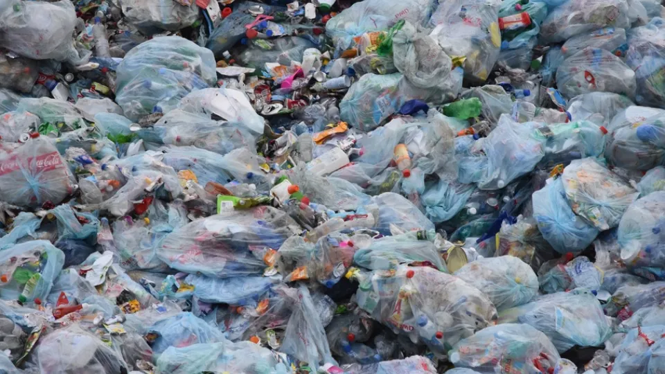 Фото: pxhere.com