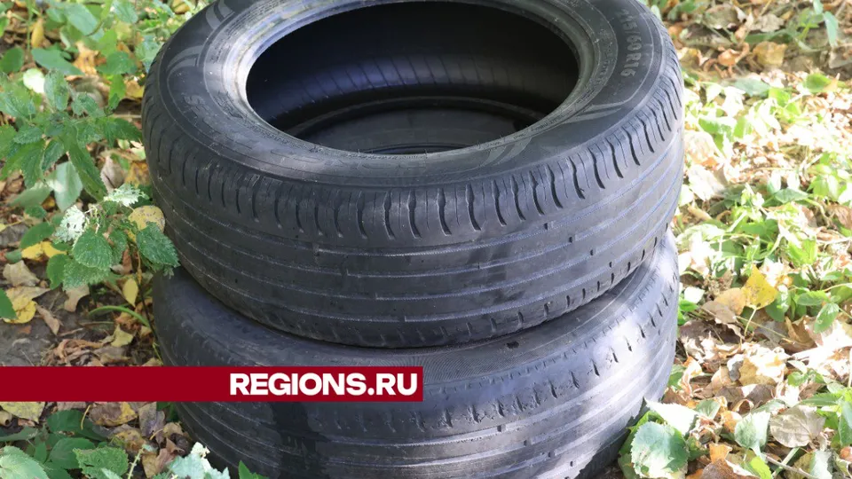 Фото: Алексей Грызлов