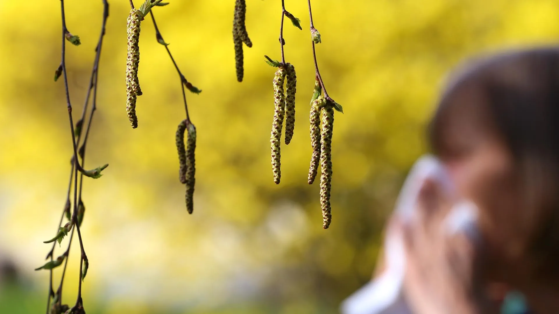 Karl-Josef Hildenbrand/dpa