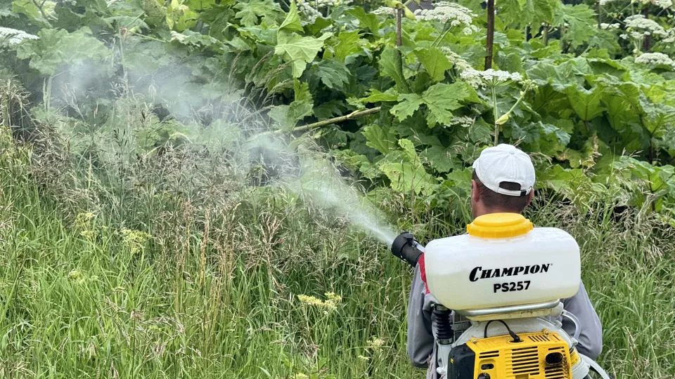 Фото: МедиаБанк Подмосковья/Татьяна Рунова