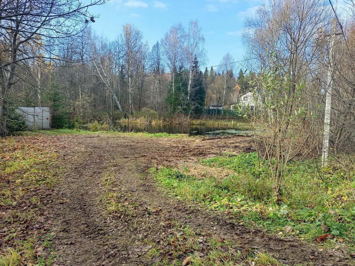 Фото: пресс-служба администрации Наро-Фоминского г.о.