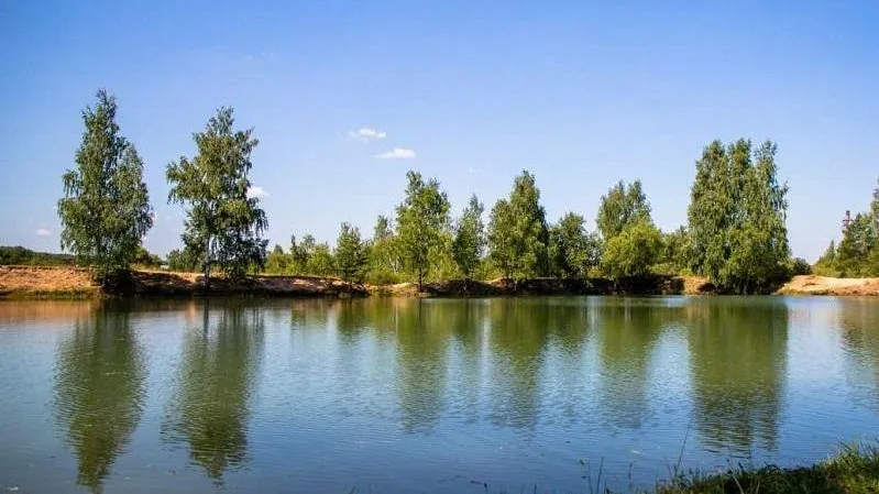 Алексей Карпов