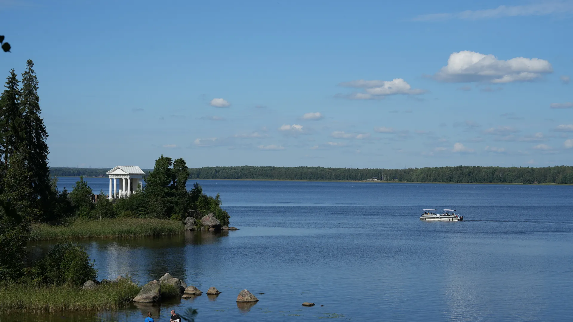 Фото: unsplash.com