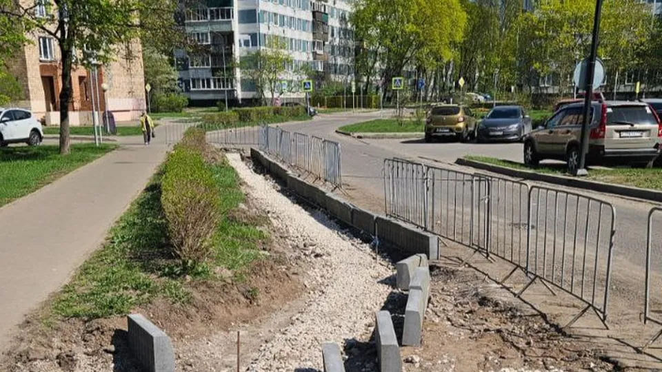 Фото: пресс-служба администрации г. о. Черноголовка