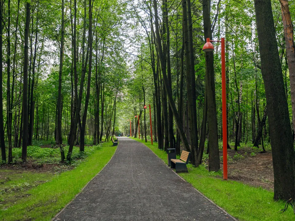 Фото: медиасток.рф