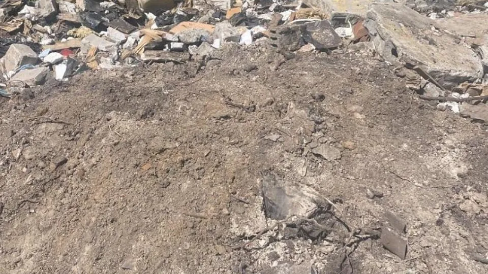 Фото: Министерство экологии и природопользования Московской области