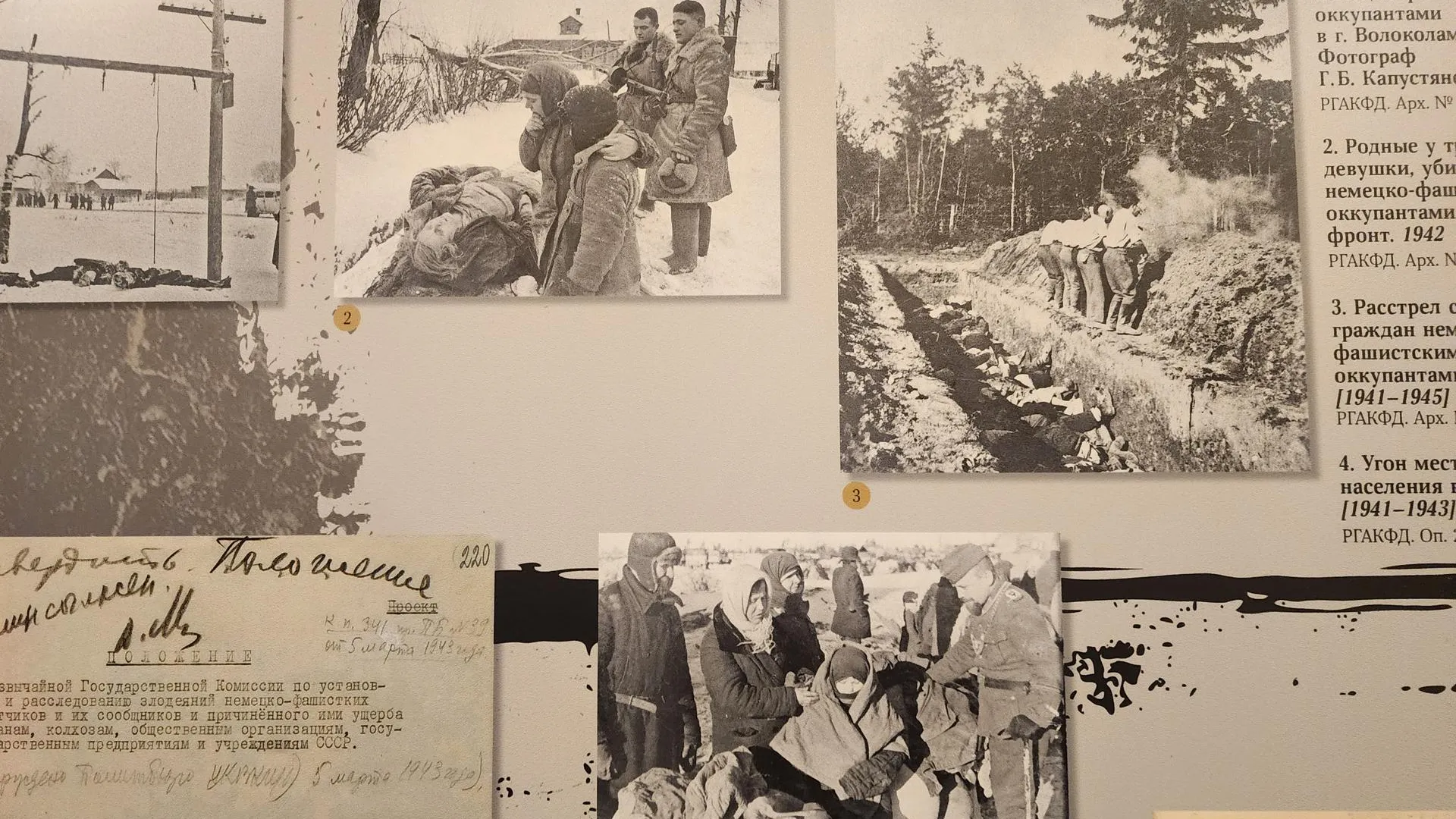 Выставка «Без срока давности». Хавива Фонина