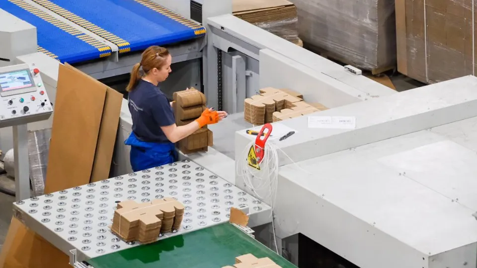 Фото: пресс-служба администрации Павлово-Посадского г.о.