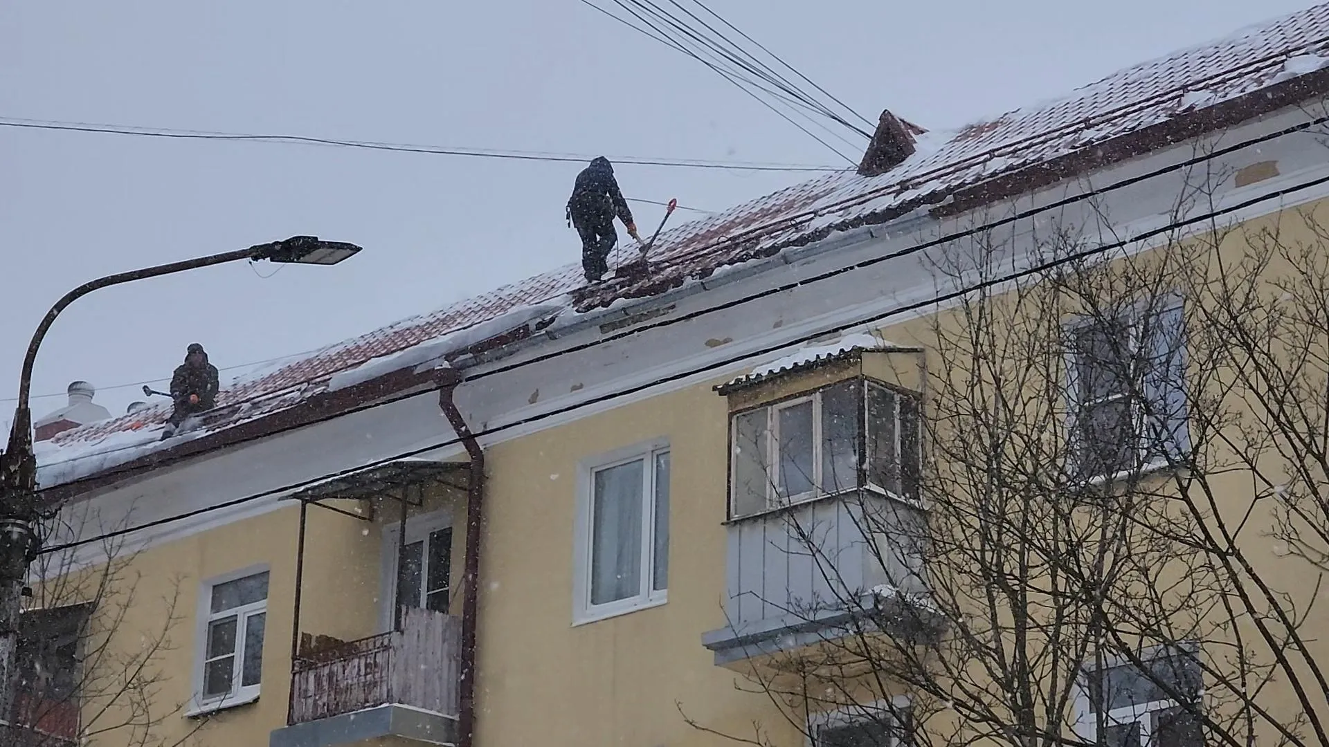 МедиаБанк Подмосковья/Ирина Моисеева