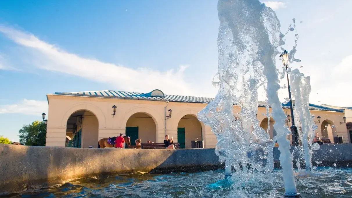 Фото: Министерство благоустройства Московской области