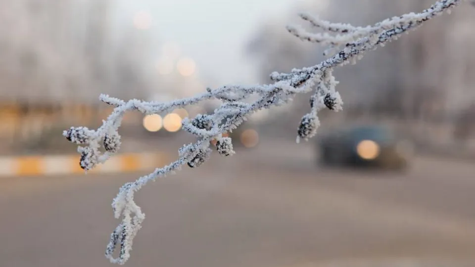 медиасток.рф