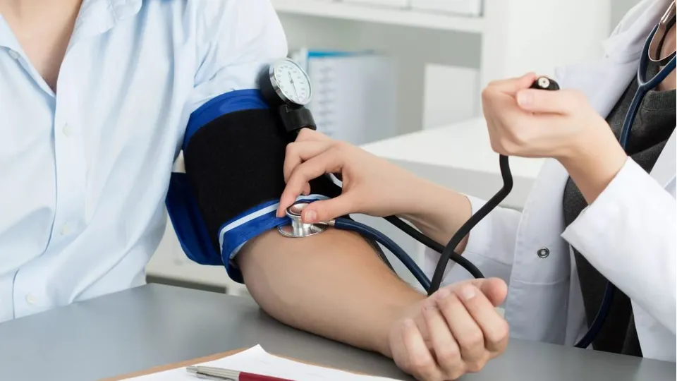 Фото: МедиаБанк Подмосковья/Хавива Фонина