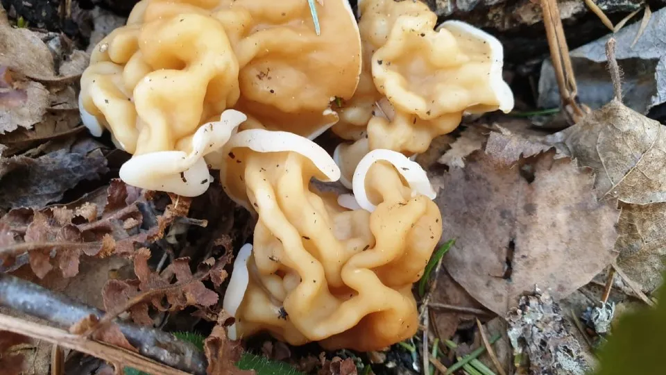 Фото: МедиаБанк Подмосковья/Анастасия Новак