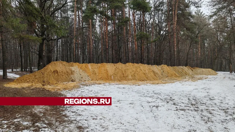 Фото: REGIONS/Юлия Павлова