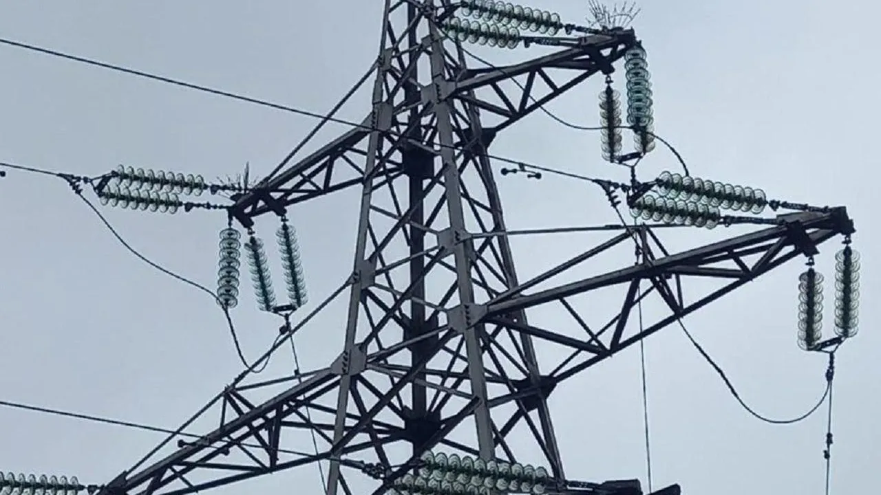 Свыше 140 птицезащитных устройств установили на ЛЭП в Подмосковье