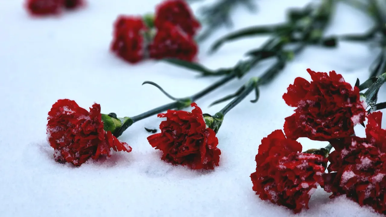 МедиаБанк Подмосковья/Мария Овчинникова