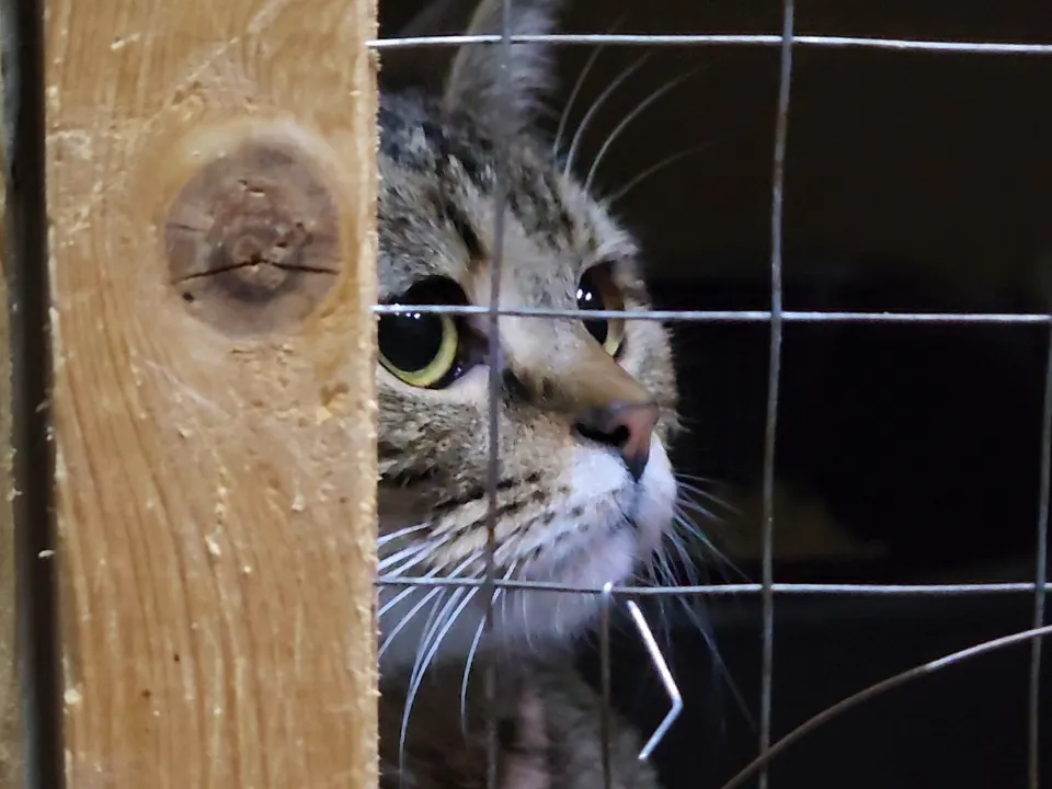 Фото: МедиаБанк Подмосковья/Арина Кузнецова