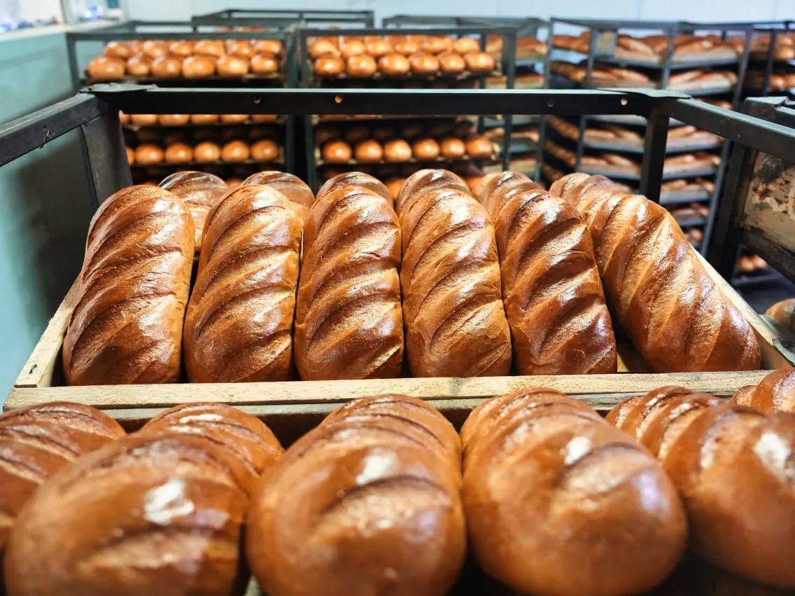 Фото: МедиаБанк Подмосковья/Дмитрий Зайчиков