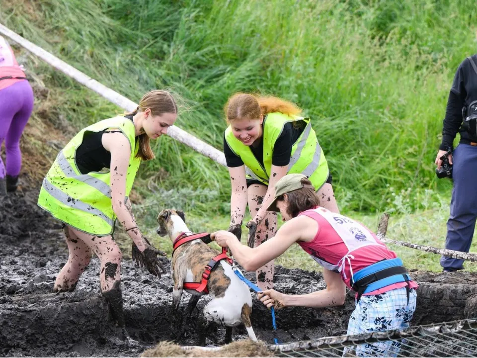 Фото: Министерство образования Московской области