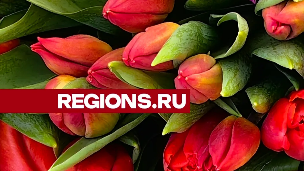 Фото: Елена Катасонова