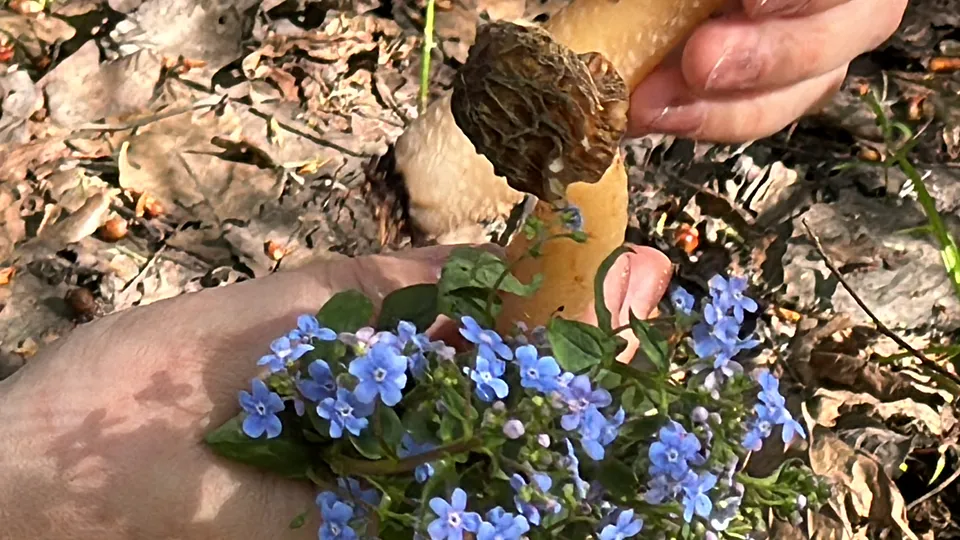 Фото: МедиаБанк Подмосковья/Мария Шматкова