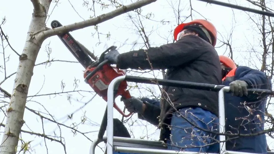 Фото: МедиаБанк Подмосковья/Данила Кирьянов