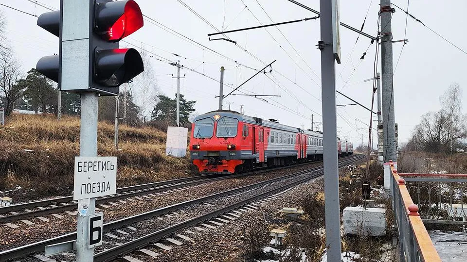 Фото: МедиаБанк Подмосковья/Андрей Семибратов