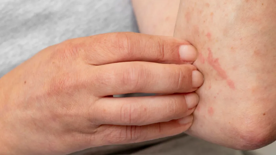 Фото: freepik.com