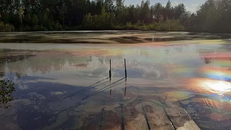 Свидетелей загрязнения водоема «радугой» ищут в Дмитровском округе