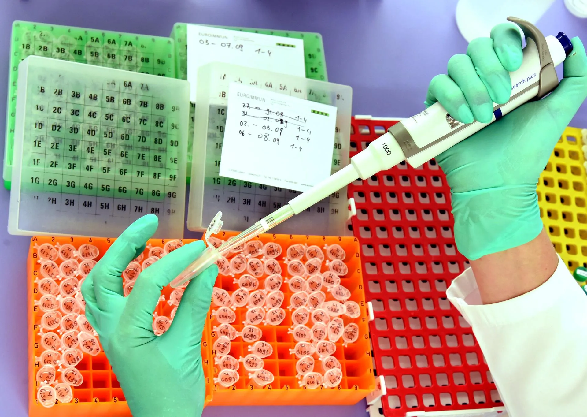 Waltraud Grubitzsch/ZB