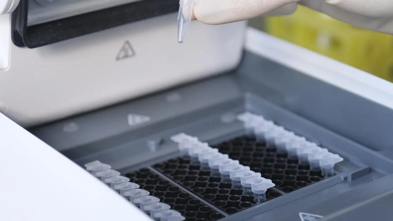 Мария Панина