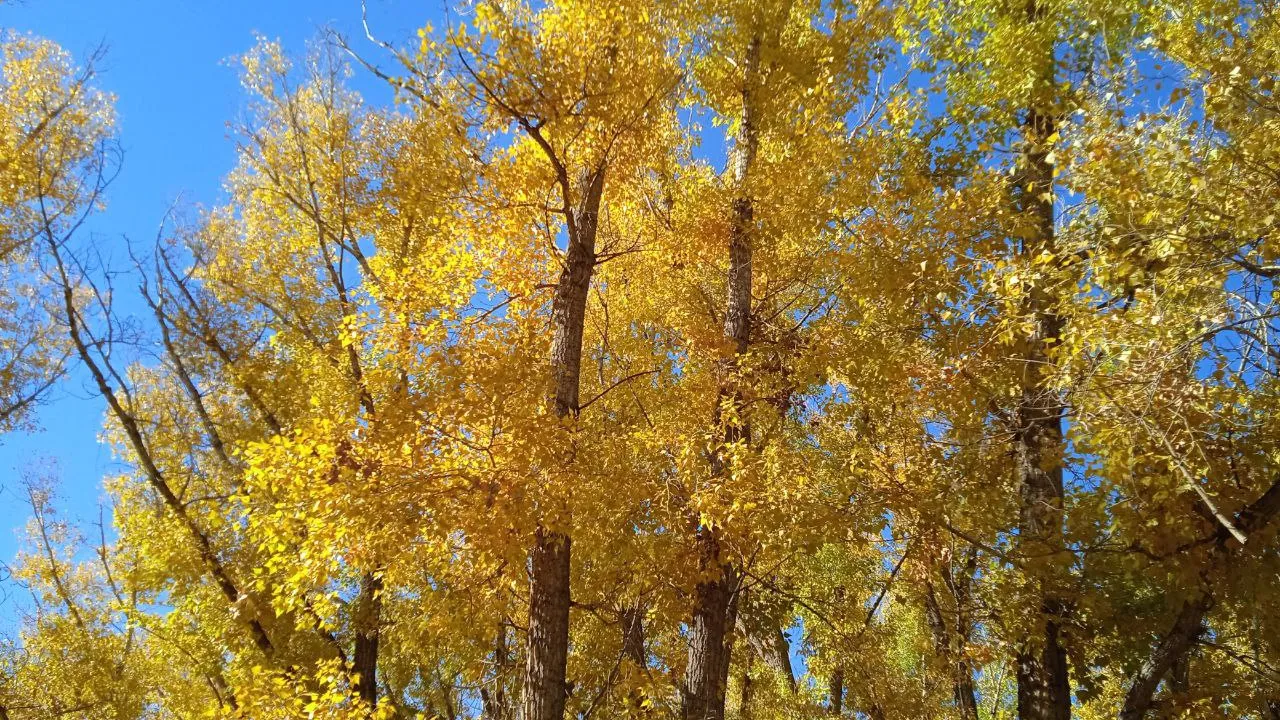 Фото: REGIONS/Юлия Куделькина