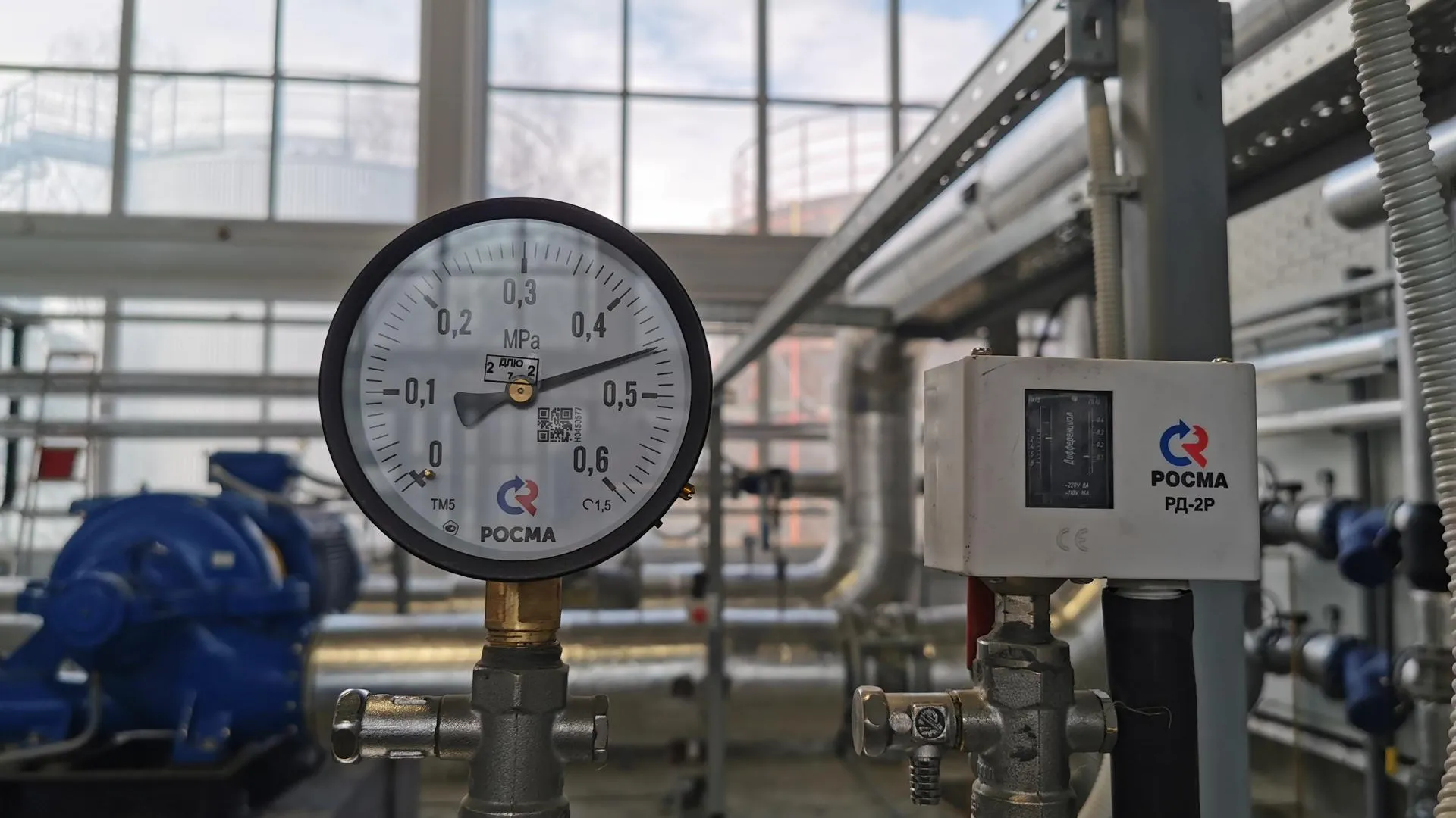 Фото: Евгений Лавряшин