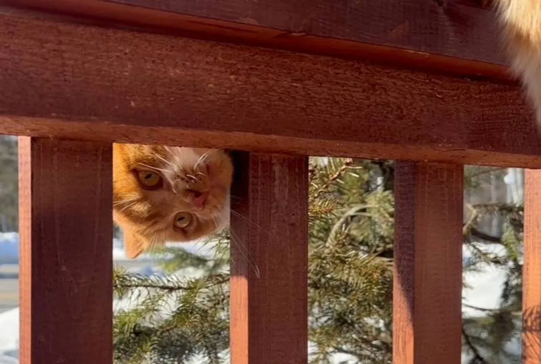 Фото: Кашира Парк