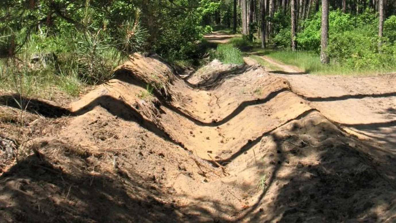 Фото: Комлесхоз МО