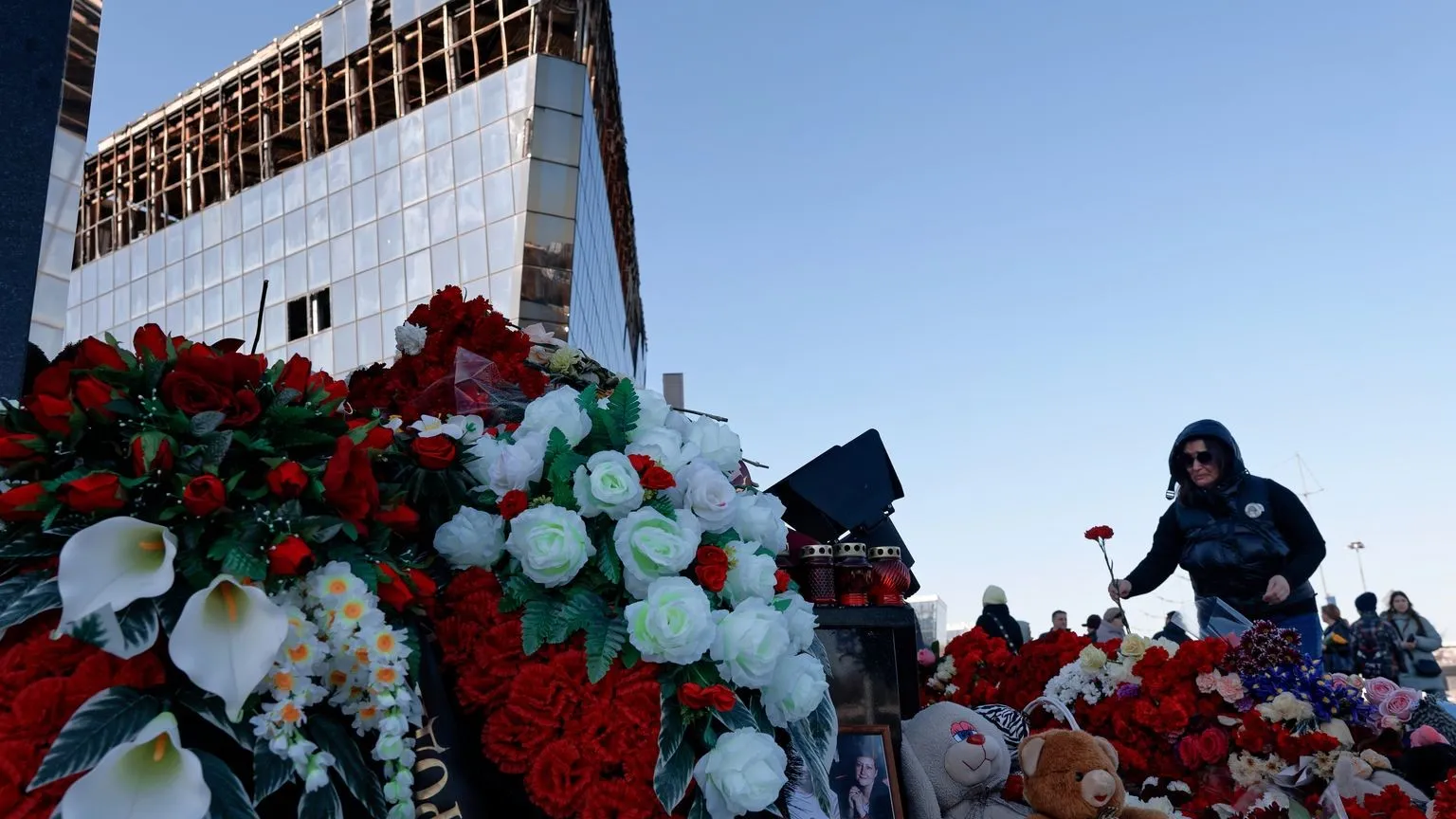 Фото: медиасток.рф