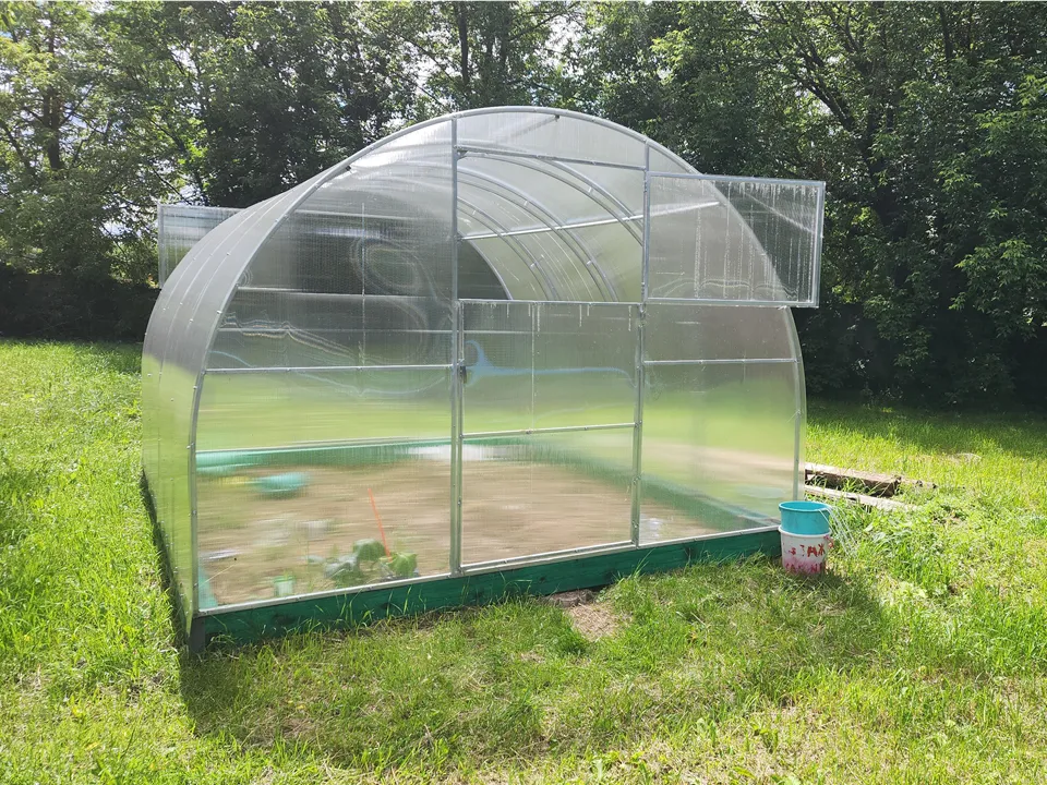 Фото: МедиаБанк Подмосковья/Ольга Шеметова