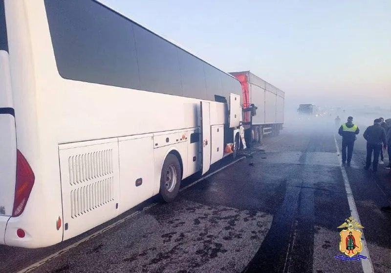 ГИБДД Рязанской области