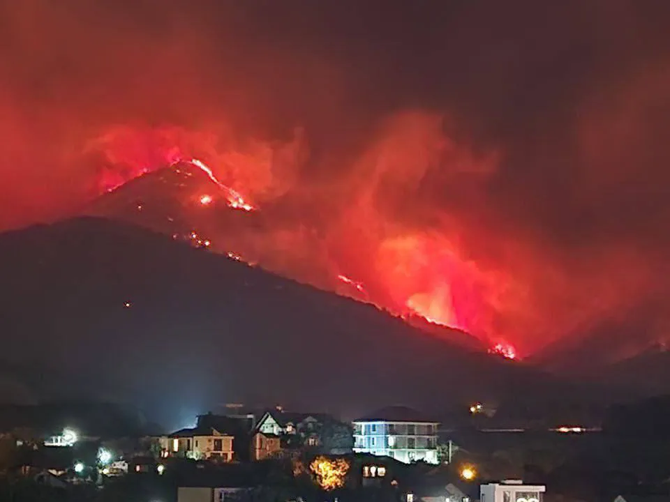 «Истоком пожара была вершина горы»: жительница Геленджика раскрыла ранее неизвестные подробности бедствия
