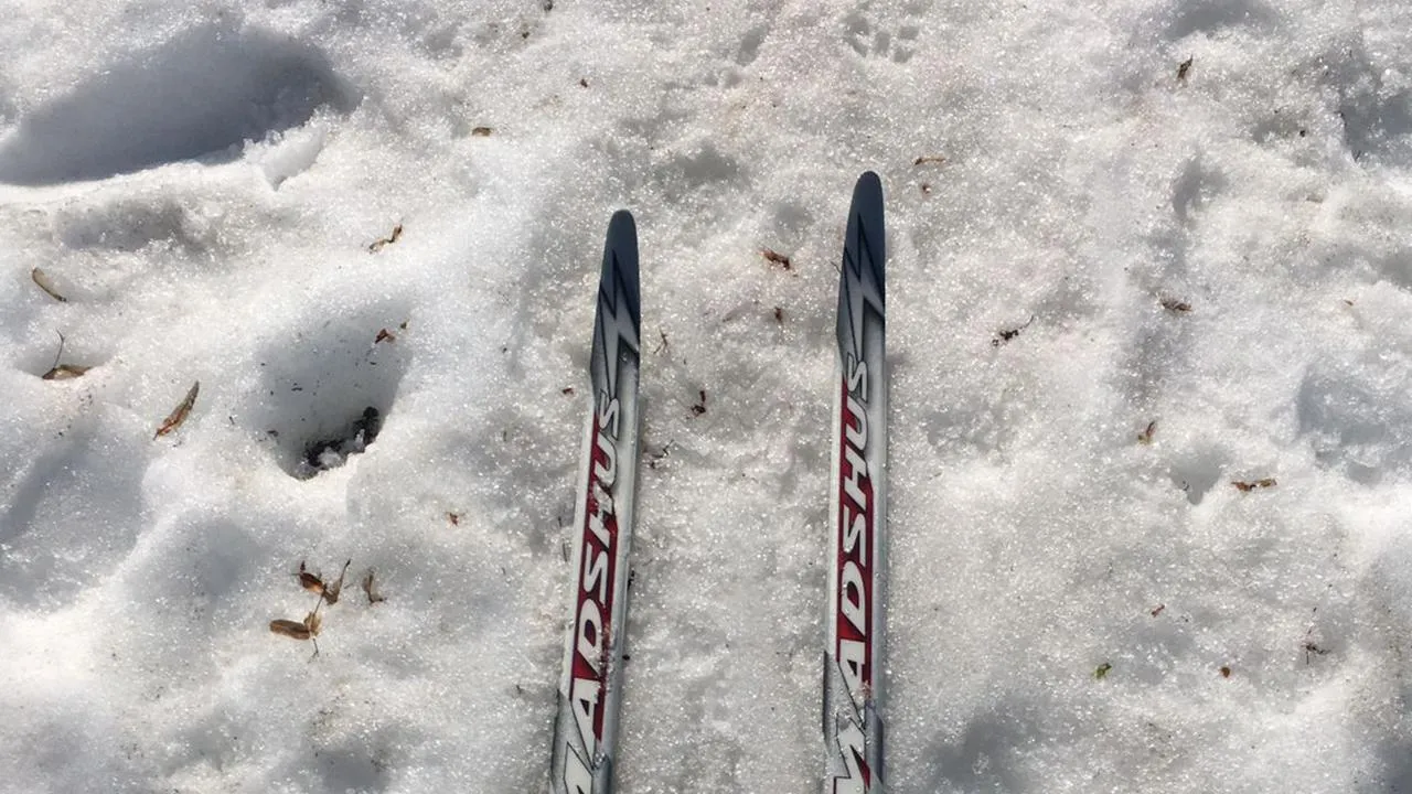 Андрей Синцов