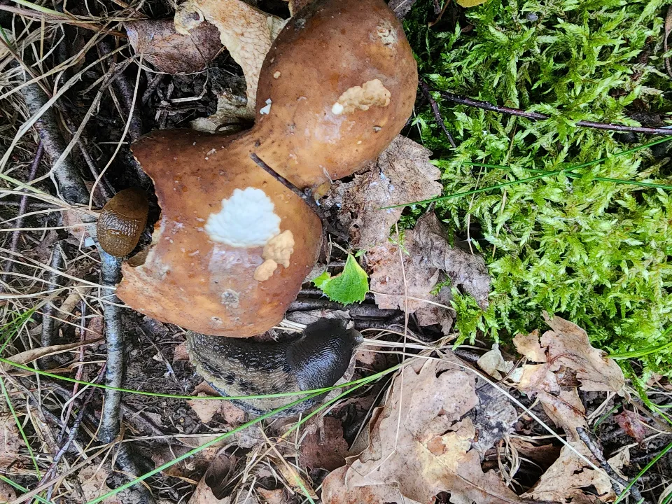 Фото: МедиаБанк Подмосковья/Мария Панина